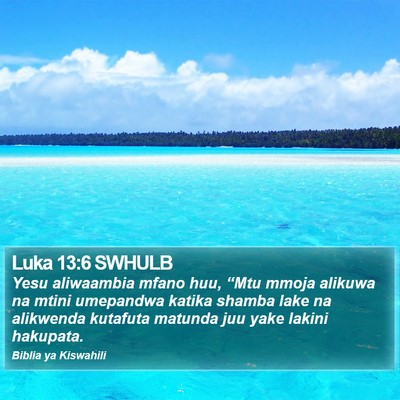 Luka 13:6 SWHULB Bible Verse Image