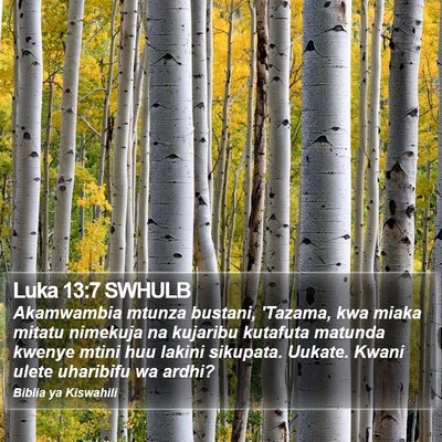Luka 13:7 SWHULB Bible Verse Image