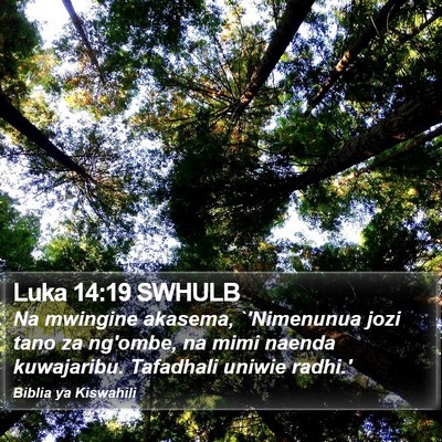Luka 14:19 SWHULB Bible Verse Image