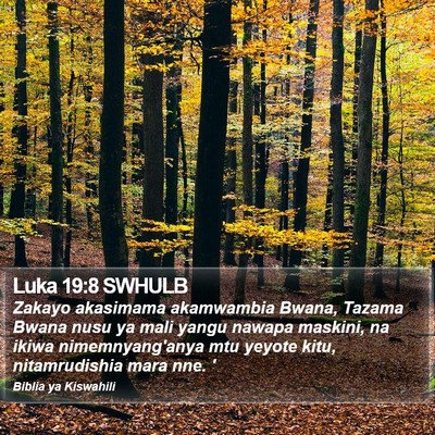 Luka 19:8 SWHULB Bible Verse Image