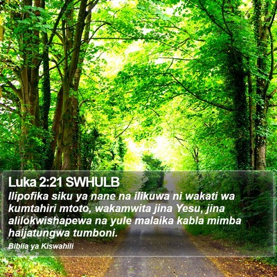 Luka 2:21 SWHULB Bible Verse Image