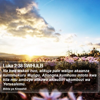 Luka 2:38 SWHULB Bible Verse Image