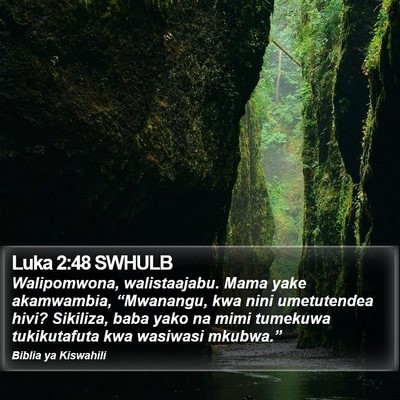 Luka 2:48 SWHULB Bible Verse Image