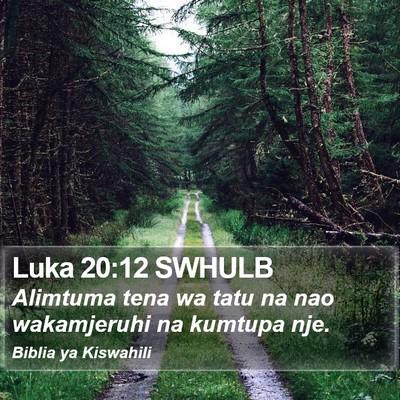 Luka 20:12 SWHULB Bible Verse Image