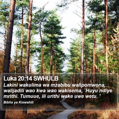 Luka 20:14 SWHULB Bible Verse Image