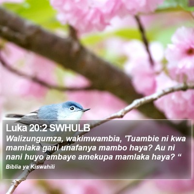 Luka 20:2 SWHULB Bible Verse Image