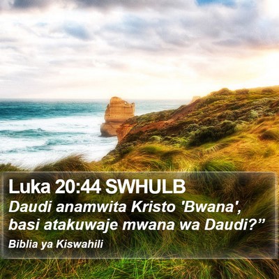 Luka 20:44 SWHULB Bible Verse Image
