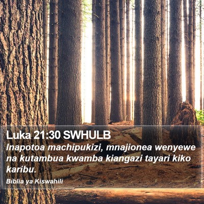 Luka 21:30 SWHULB Bible Verse Image