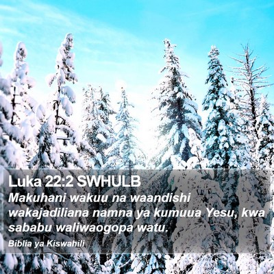 Luka 22:2 SWHULB Bible Verse Image
