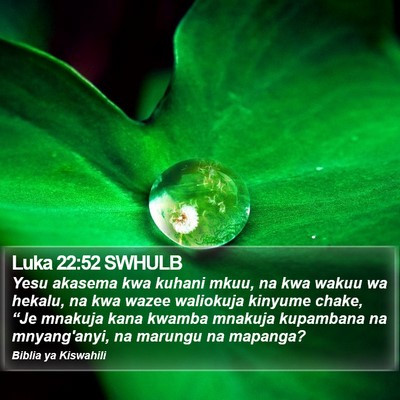 Luka 22:52 SWHULB Bible Verse Image