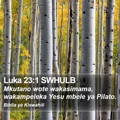 Luka 23:1 SWHULB Bible Verse Image