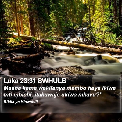 Luka 23:31 SWHULB Bible Verse Image