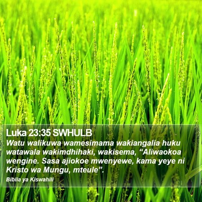 Luka 23:35 SWHULB Bible Verse Image