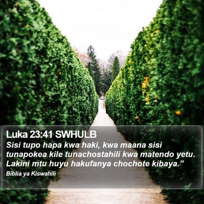 Luka 23:41 SWHULB Bible Verse Image