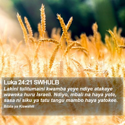 Luka 24:21 SWHULB Bible Verse Image