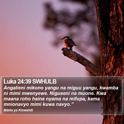 Luka 24:39 SWHULB Bible Verse Image