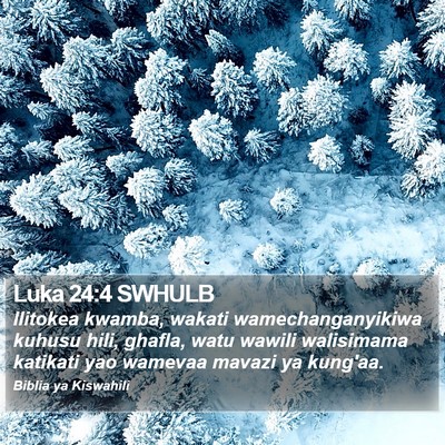 Luka 24:4 SWHULB Bible Verse Image