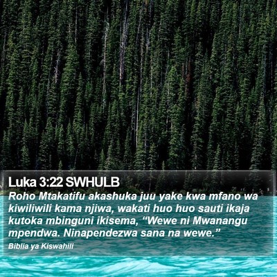 Luka 3:22 SWHULB Bible Verse Image