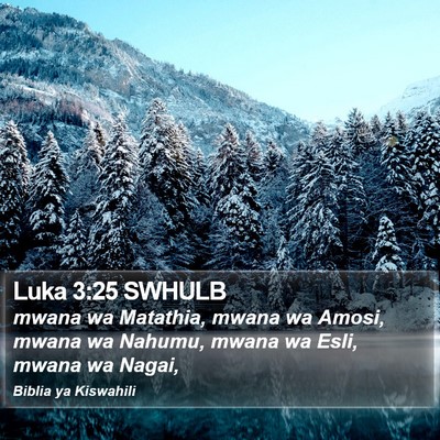 Luka 3:25 SWHULB Bible Verse Image