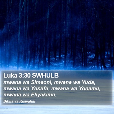 Luka 3:30 SWHULB Bible Verse Image