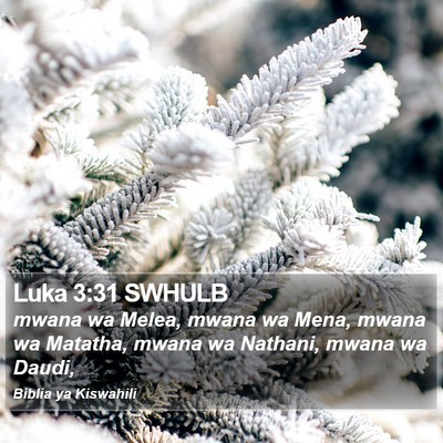 Luka 3:31 SWHULB Bible Verse Image