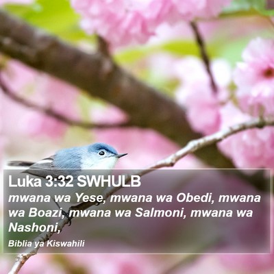 Luka 3:32 SWHULB Bible Verse Image