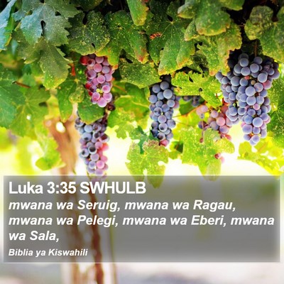 Luka 3:35 SWHULB Bible Verse Image