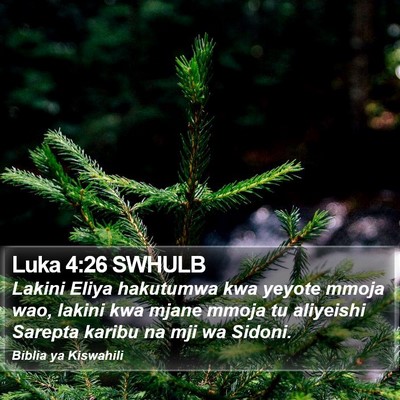 Luka 4:26 SWHULB Bible Verse Image