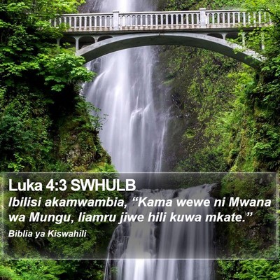 Luka 4:3 SWHULB Bible Verse Image