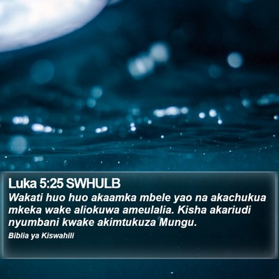 Luka 5:25 SWHULB Bible Verse Image