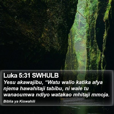Luka 5:31 SWHULB Bible Verse Image