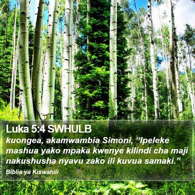Luka 5:4 SWHULB Bible Verse Image
