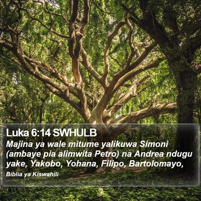 Luka 6:14 SWHULB Bible Verse Image