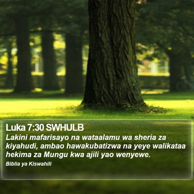 Luka 7:30 SWHULB Bible Verse Image
