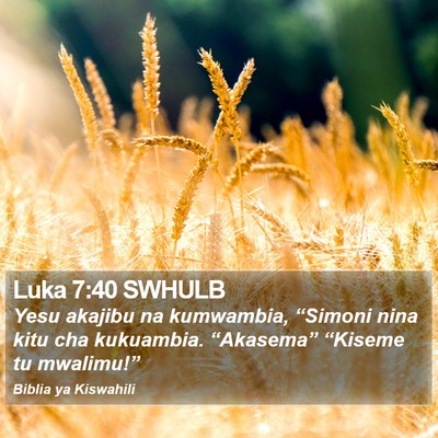 Luka 7:40 SWHULB Bible Verse Image