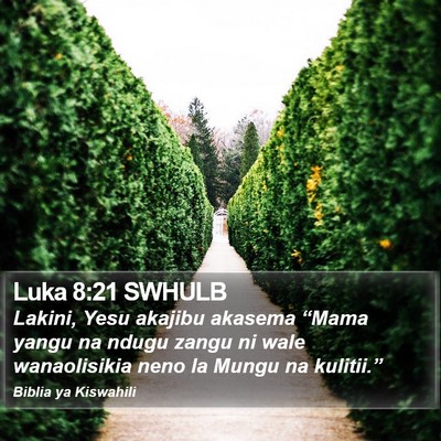 Luka 8:21 SWHULB Bible Verse Image