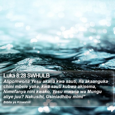 Luka 8:28 SWHULB Bible Verse Image