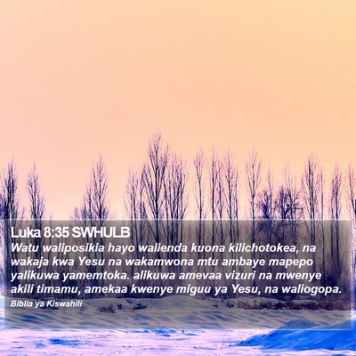 Luka 8:35 SWHULB Bible Verse Image