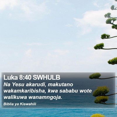 Luka 8:40 SWHULB Bible Verse Image