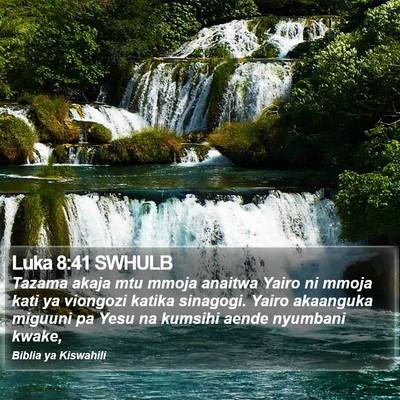 Luka 8:41 SWHULB Bible Verse Image