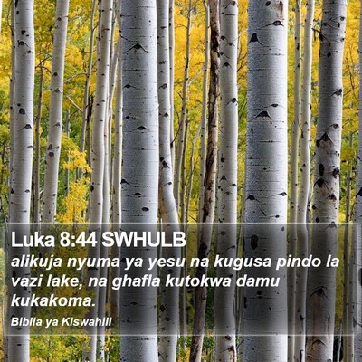 Luka 8:44 SWHULB Bible Verse Image
