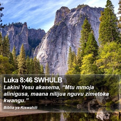 Luka 8:46 SWHULB Bible Verse Image
