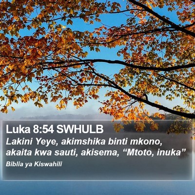 Luka 8:54 SWHULB Bible Verse Image