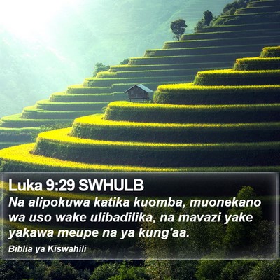 Luka 9:29 SWHULB Bible Verse Image
