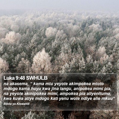Luka 9:48 SWHULB Bible Verse Image