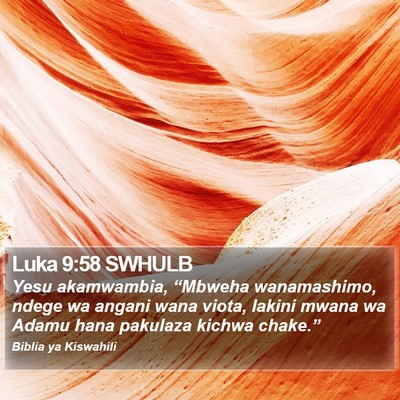 Luka 9:58 SWHULB Bible Verse Image