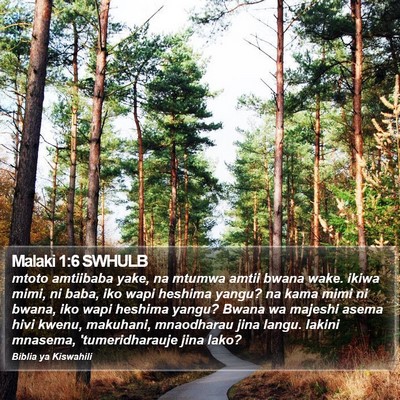 Malaki 1:6 SWHULB Bible Verse Image