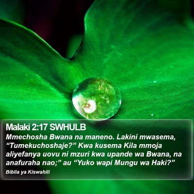 Malaki 2:17 SWHULB Bible Verse Image