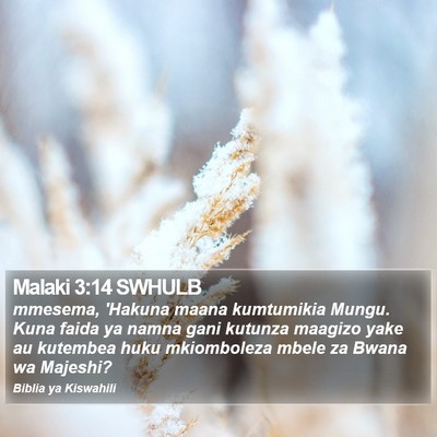 Malaki 3:14 SWHULB Bible Verse Image