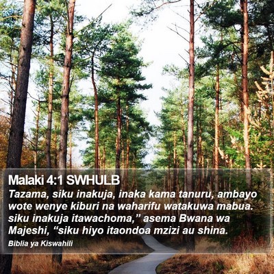 Malaki 4:1 SWHULB Bible Verse Image